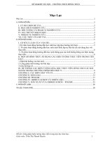 skkn-Lồng ghép hiện tượng thực tiễn trong dạy học hóa học