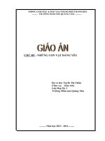 giáo án nhà trẻ  chủ đề những con vật đáng yêu 