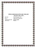 SKKN- Kinh nghiệm bồi dưỡng học sinh giỏi môn Hoá học lớp 9