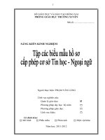 skkn tập các biểu mẫu hồ sơ cấp phép cơ sở tin học – ngoại ngữ 