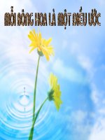 giáo án mầm non chủ đề mỗi bông hoa là một điều ước 