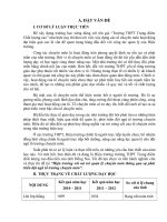 skkn hiệu trưởng với vai trò quản lý chuyên môn thông qua sự phát triển đội ngũ tổ trưởng chuyên môn