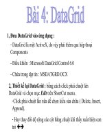 Bài giảng lập trình trực quan   bài 4  datagrid 