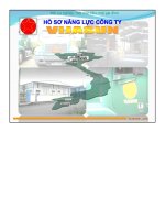 Hồ sơ năng lực công ty vijasun 2014