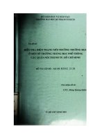 Điều tra hiện trạng môi trường trường học ở một số trường trung học phổ thông các quận nội thành tp  hồ chí minh 