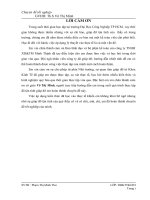 Hoàn thiện nghiệp vụ kế toán thuế giá trị gia tăng tại công ty TNHH xây dựng và thương mại  minh thịnh 