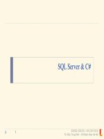 Giới thiệu về c