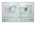 Hướng dẫn lập bản đồ tư duy dễ hiểu