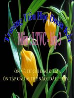 Bài giảng tiếng việt 3 tuần 17 bài luyện từ và câu   ôn về từ chỉ đặc điểm, ôn tập câu ai thế nào dấu phẩy 2 