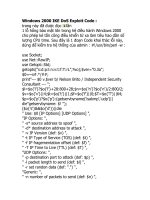 Windows 2000 IKE dos exploit code 