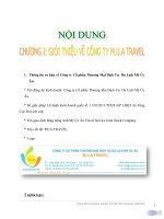 Báo cáo thực tập công ty du lịch mỹ úc âu