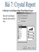 Bài giảng lập trình trực quan   bài 7  crystal report