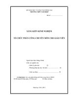 SKKN tổ chức phân công chuyên môn cho giáo viên 