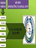 slide báo cáo các vấn đề liên quan đến kẽm