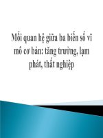 Mối quan hệ giữa ba biến số vĩ 