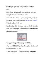 Cài đặt gói ngôn ngữ tiếng việt cho vbulletin 4 0 x 