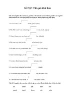 Bài tập quá khứ đơn tiếng anh