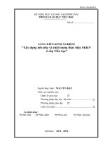 skkn dựng nền nếp và chất lượng thực hiện SKKN ở cấp tiểu học 