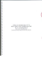 BÁO cáo tài CHÍNH của CÔNG TY cổ PHÀN đầu tư và CÔNG NGHIỆP bảo THƯ