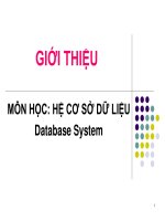 HỆ THỐNG cơ sở dữ LIỆU