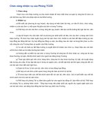 Chức năng nhiệm vụ của phòng tổ chức cán bộ đại học ngoại ngữ hà nội