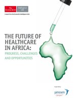 The future of healthcare in africa  progress, challenges and opportunities 