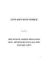 skkn một số kinh nghiệm trong khai thác  mô hình để giảng dạy môn sinh học lớp 8