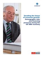 Derailing the future of economic growth demographic risks and financing pressures facing the UK SME economy 