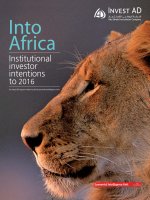 Into africa institutional investor intentions to 2016 