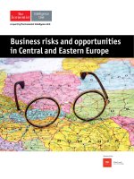 Business risks and opportunities in central and eastern europe 