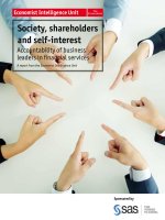 Society, shareholders and self interest accountability of business leaders in financial services 
