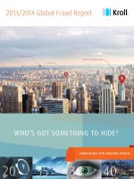 2014  2014 global fraud report 