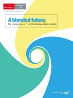 A blended future the changing mix of IT service delivery and consumption 