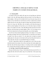 Phân tích tình hình lợi nhuận và các giải pháptăng lợi nhuận tại công ty TNHH Máy Tính Nét