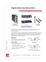 Digital audio coax baluns series 