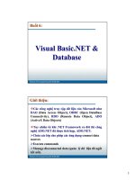 Bài giảng lập trình ứng dụng visuabasic  bài 6   phạm đình sắc
