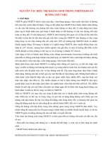 Nguyên tắc điều trị kháng sinh trong nhiễm khuẩn đường tiết niệu