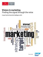Visions in marketing finding the signal through the noise 