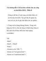 Các hướng dẫn về tối ưu hóa website cho các công cụ tìm kiếm (SEO)   phần II