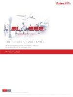 The future of air travel 