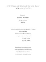Na+, k+ ATPase in single skeletal muscle fibres and the effects of ageing, training and inactivity