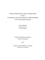 Policing intimate partner violence involving female victims  an exploratory study of the influence of relationship stage on the victim police encounte