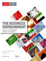 The business environment in gulf co operation council countries 