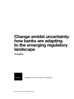 Change amidst uncertainty how banks are adapting to the emerging regulatory landscape 