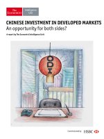 Chinese investment in developed markets 