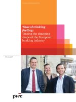 That shrinking feeling tracing the changing shape of the european banking industry 