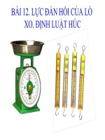 Lực đàn hồi của lò xo. Định Luật Húc