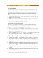 Chiến lược phát triển đội ngũ cán bộ