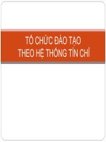 Tổ chức đào tạo theo hệ thống tín chỉ