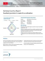 Germany country report excellent provision in need of co ordination 